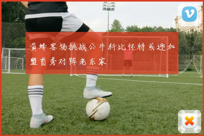 黄蜂客场挑战公牛科比怀特或迎加盟首秀对阵老东家