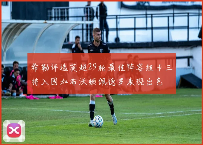 希勒评选英超29轮最佳阵容纽卡三将入围加布沃顿佩德罗表现出色