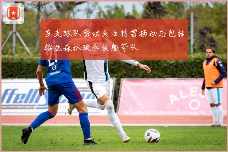 多支球队密切关注特雷杨动态包括雄鹿森林狼和快船等队