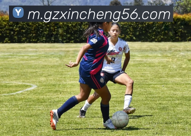 数据防护可视化